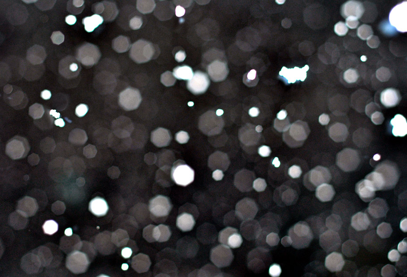 Illustration for article titled Shooting Challenge: Bokeh, Gallery 3